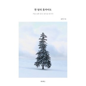 (중고/상)한 달의 홋카이도 : 겨울 동화 같은 설국을 만나다