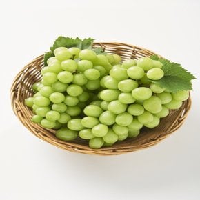 가정용 샤인머스켓 1kg 1-3수