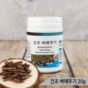 열풍건조 벼메뚜기 20g 소동물 앵무새 고단백질 간식