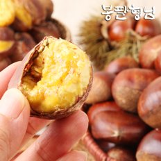 국내산 햇 알밤 (중) 2kg 생밤 광양/순천 산지