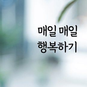 디자인황소 감성문구 레터링 스티커 명언 좋은글귀 02 매일매일행복하기