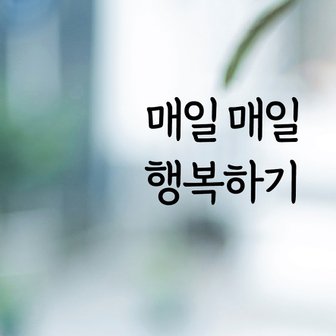  디자인황소 감성문구 레터링 스티커 명언 좋은글귀 02 매일매일행복하기