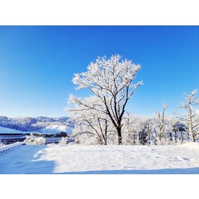 [속초시] 속초울산바위민박