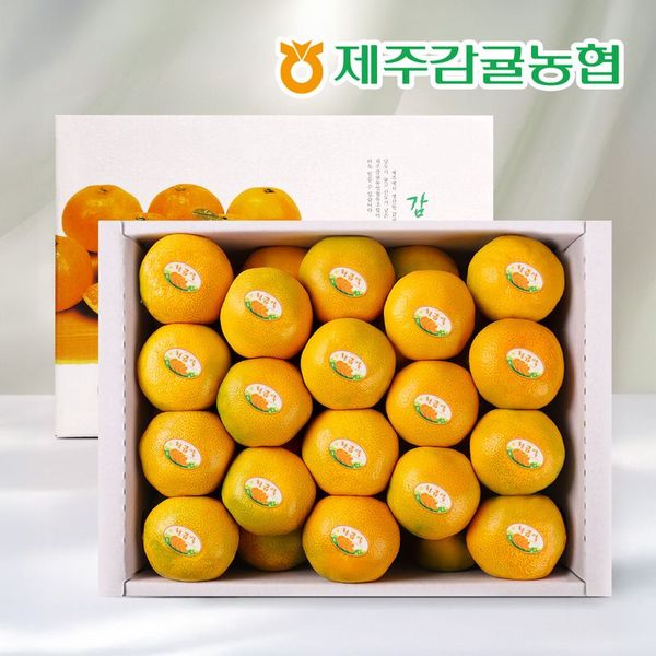 확대된 대표 상품 이미지 1