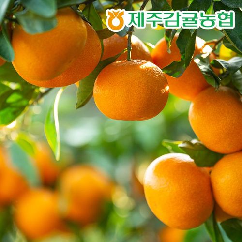 상품 이미지 3
