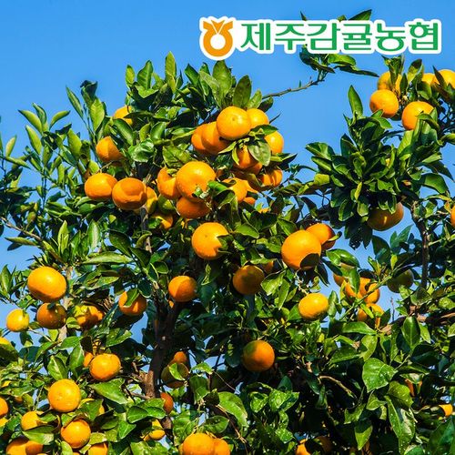 상품 이미지 4