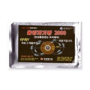 동명건강 음양자기방 ND자석 패치 파스 패드 2000