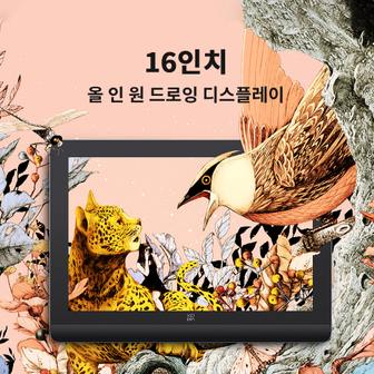  엑스피펜 아티스트 프로 16 2세대 XPpen Artist Pro 16 액정 태블릿 국내정품 18개월보증AS