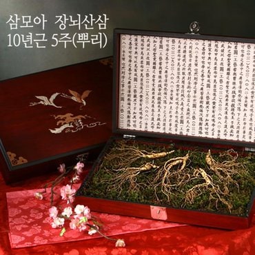 삼모아농장 [1/15(수)순차출고] [삼모아] 장뇌산삼(산양산삼) 10년근 5뿌리(만수무강세트)/고가구케이스+실크보자기포장