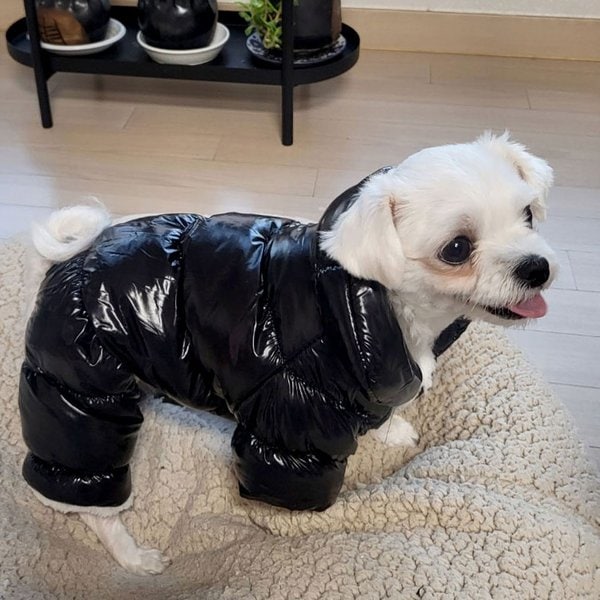 확대된 대표 이미지1