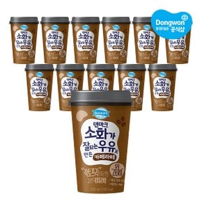 덴마크 소화가 잘되는 우유로 만든 카페라떼 250ml x 12개