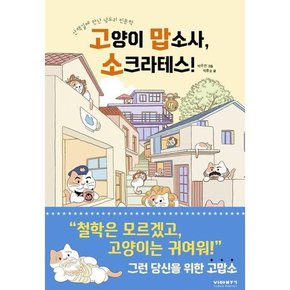 고양이 맙소사 소크라테스