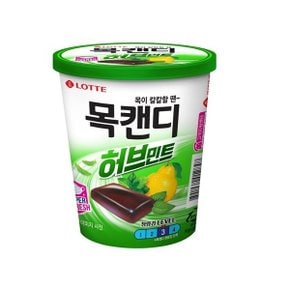 롯데 목캔디 파워허브민트 용기 122g x1 무배