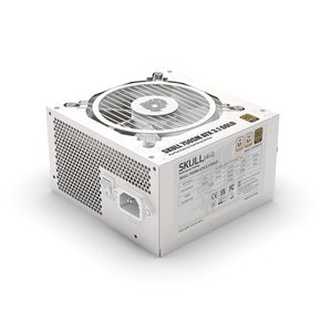 SKULL 850SM 모듈러 ATX3.1 80PLUS골드 화이트