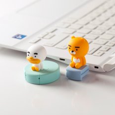 카카오프렌즈 USB 32GB 이동식디스크