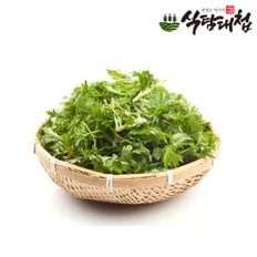 식탐대첩 국내산 생쑥 1kg