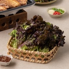 [한정기획] 적상추 (120g)