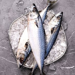 국내산 손질 자반고등어 10미 (총 2.3kg 내외)