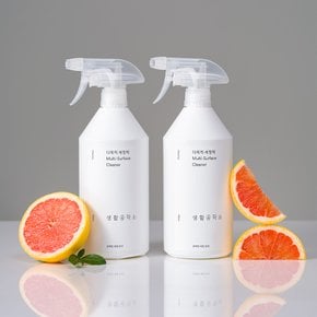 다목적세정제 750ml x 2입 자몽향