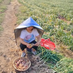 썬캡 은박 농사모자 논 밭일 낚시 야외 작업 햇빛반사 자외선차단 대형 모자