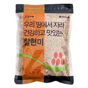 [함양농협] 하늘가애 국내산 찰현미 2kg