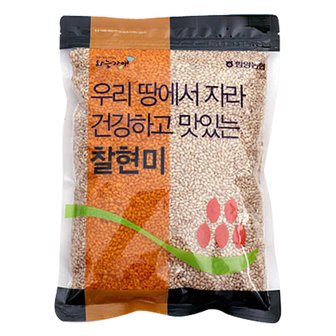 농협 [함양농협] 하늘가애 국내산 찰현미 2kg