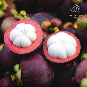 항공직송 태국 생 망고스틴 500g(5-7과)