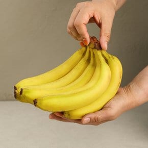 필리핀 고산지 감숙왕 바나나 (1kg/봉)