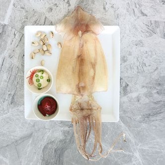  구룡포 마른오징어 국내가공 오징어 10미 1kg 원양 배