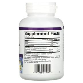 미국직구 Natural Factors 내추럴팩터스 블루 리치 블루베리 컨센트레이트 500mg 90소프트젤