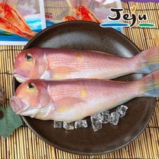 [안동수산] 제주 손질 옥돔(중) 160g x 5팩[34003947]