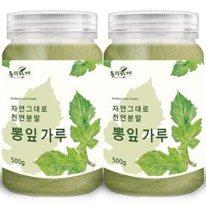 동의한재 국산 100% 뽕잎 가루 분말 500g x 2개