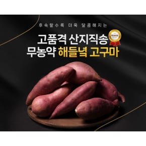 생산자직배송/ 해들녘 고창황토고구마 5kg  (한입 사이즈)