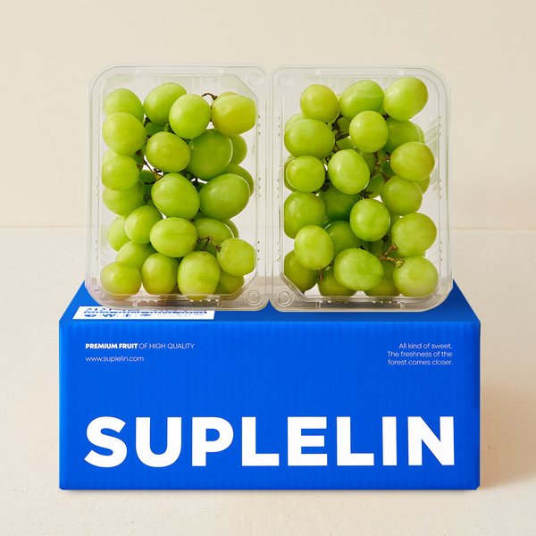 [수플린] 탱글탱글 고당도 어텀 크리스피 청포도 1kg (500g*2팩)
