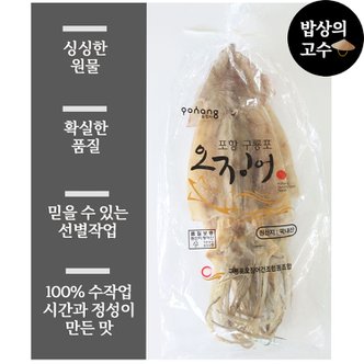  구룡포 마른오징어 1kg 동해안 오징어 국내산 울릉도 10마리