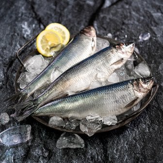  청정 해역 자연산 청어 구이용생선 생선조림 5미  1.3kg 내외