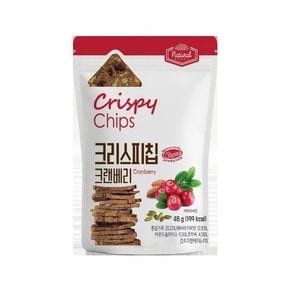 [NEO택배]크리스피칩 크랜베리 45g