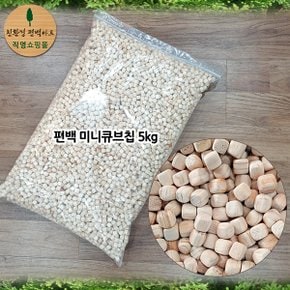 편백 미니 큐브칩 5kg