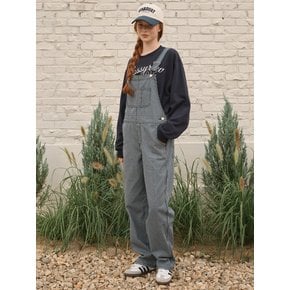 Stripe denim overalls Blue