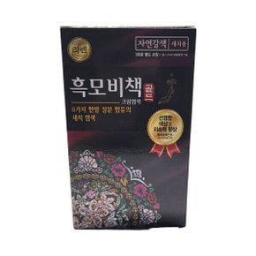 리엔 흑모비책 골드 한방 크림염색약 새치용 자연갈색