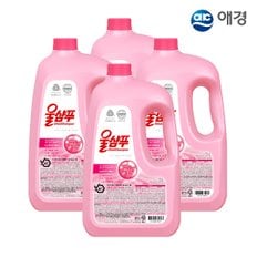 오리지널 용기 3L X 4개