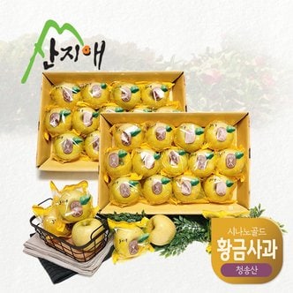  산지애 황금사과 시나노골드 3kg 2box / 중과, 청송산 , 당도선별 12brix ↑