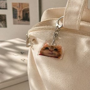 고양이 밈 키링 아크릴 키홀더 백참 참 백꾸 가꾸 열쇠고리 병맛 쓸데없는 키링 우정 선물