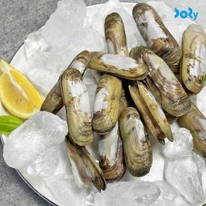  [도리마켓] 국내산 제철 별미 별량 맛조개 500g (20-30미)