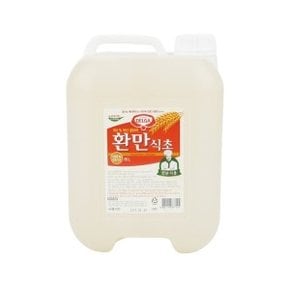 롯데 환만식초 15L