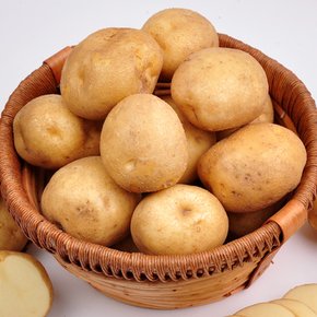 포근포근 24년산 감자 3kg (특)