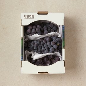 저탄소인증 캠밸포도 1kg/박스