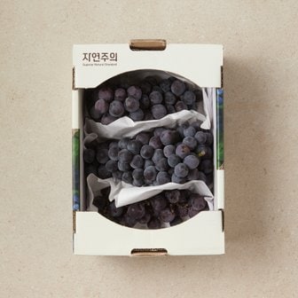 자연주의 저탄소인증 캠밸포도 1kg/박스