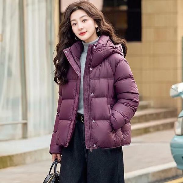 확대된 대표 이미지 G