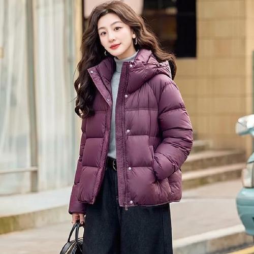 이미지 G